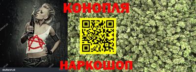 прущие крисы Ставрополь