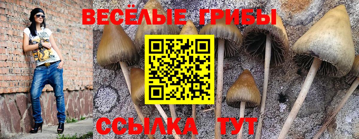 Галлюциногенные грибы мицелий  Вход с VPN  Псилоцибиновые грибы мицелий  Асино 
