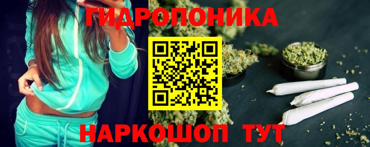 Асино  Шишки марихуана марихуана  Шишки марихуана White Widow  Вход с VPN  Канабис план 